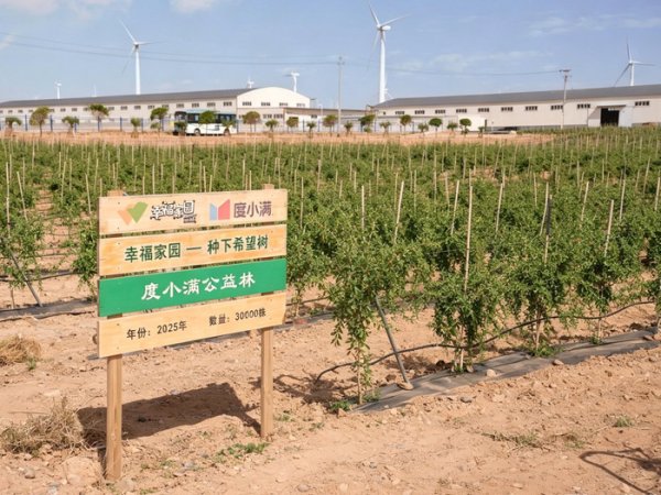 龙虎棋牌app官网版 世界环境日|度小满公益林2年种出144亩绿洲 带用户见证“绿进沙退”