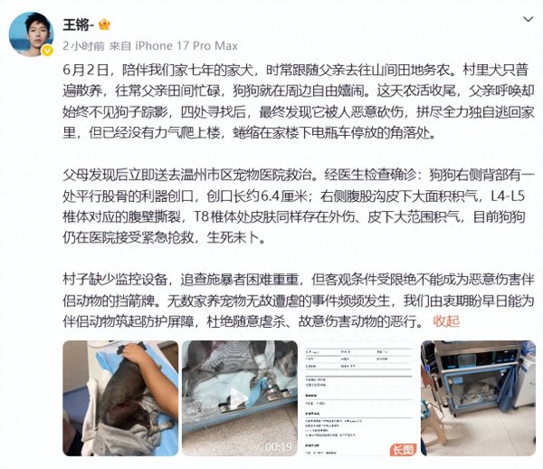 龙虎棋牌app官网版 演员王锵窘态发声：相伴7年爱犬被坏心砍伤，死活未卜……