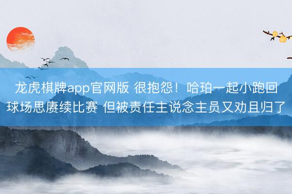 龙虎棋牌app官网版 很抱怨！哈珀一起小跑回球场思赓续比赛 但被责任主说念主员又劝且归了